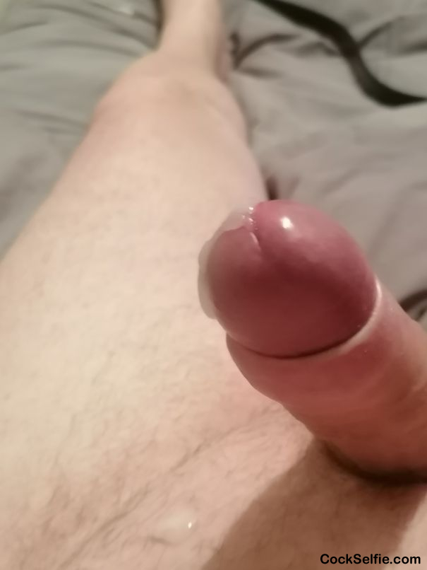 Cum - Cock Selfie