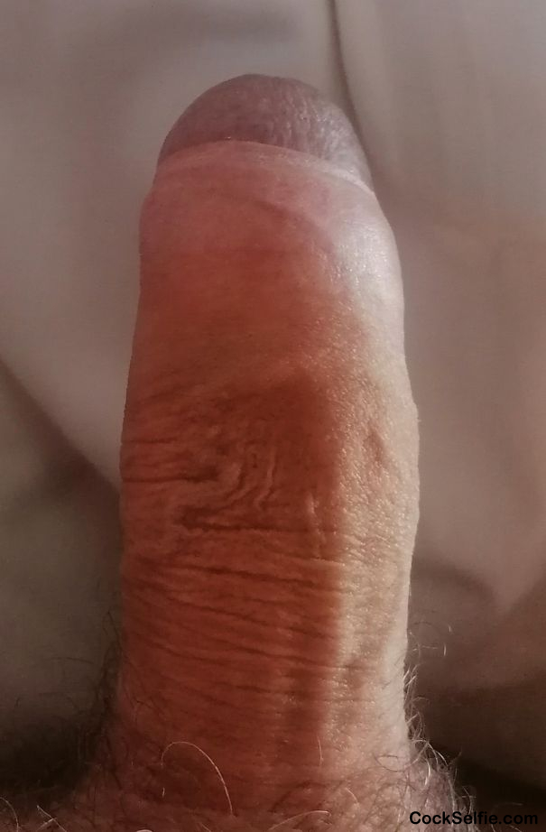 Anyone like a suck - Cock Selfie