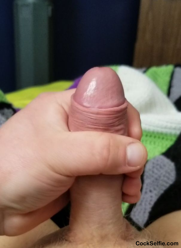  - Cock Selfie