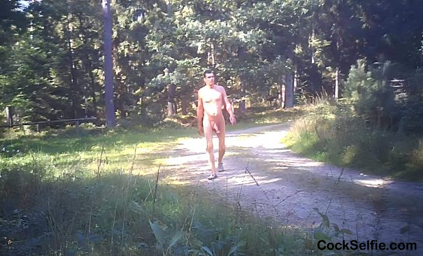 Naked in the wood - Cock Selfie