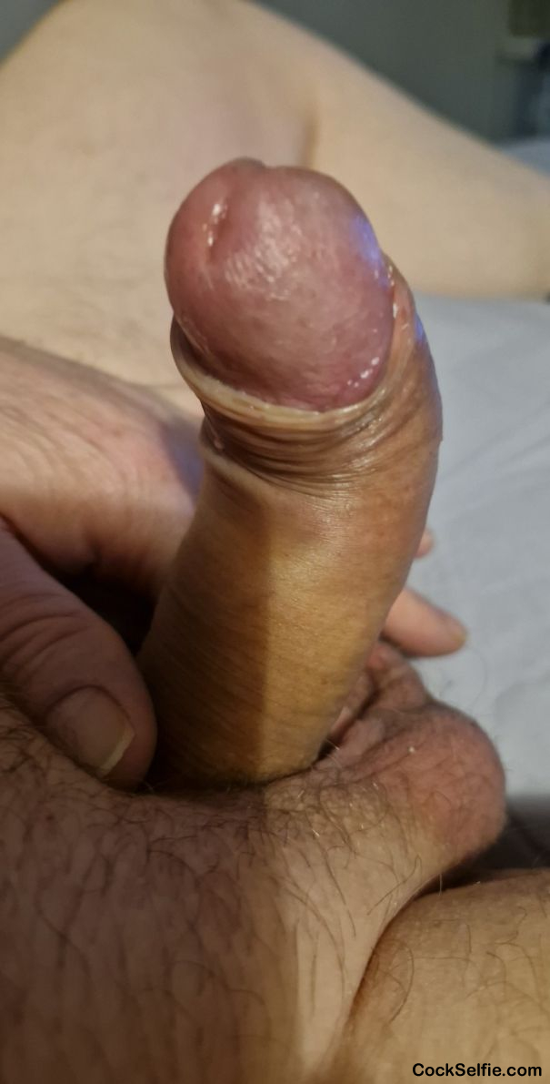  - Cock Selfie