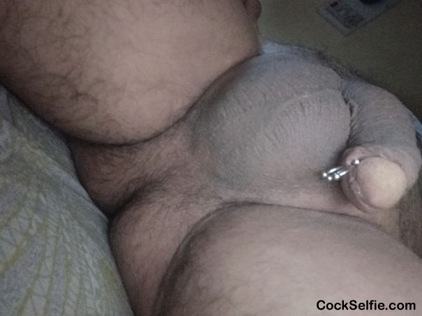  - Cock Selfie