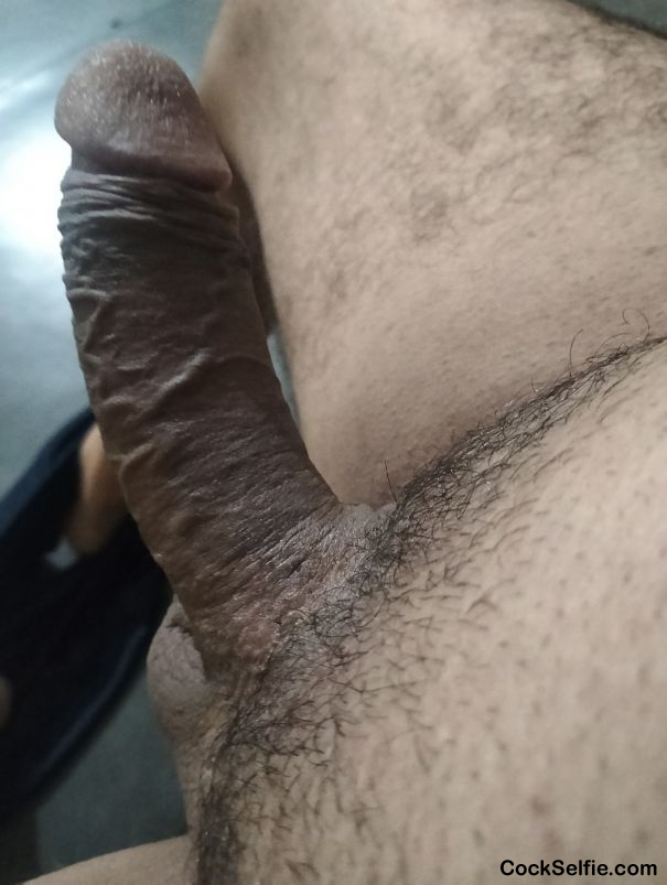  - Cock Selfie