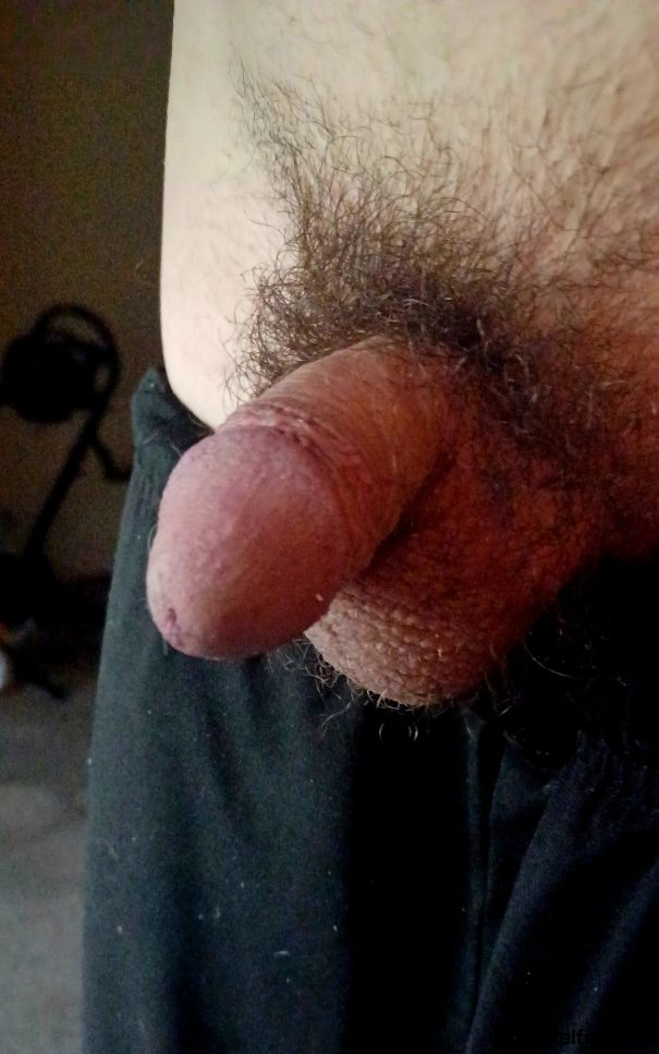  - Cock Selfie