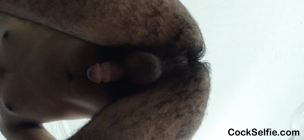 Ass - Cock Selfie