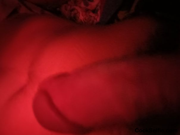 My dick - Cock Selfie