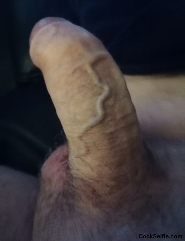 My old veiny cock - Cock Selfie