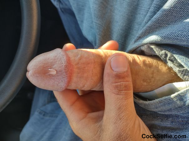 Long hard white dick - Cock Selfie