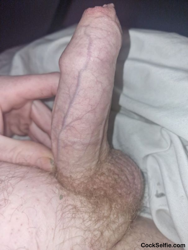 . - Cock Selfie