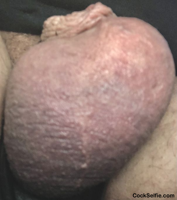 Retracted miicro nothing but balls - Cock Selfie