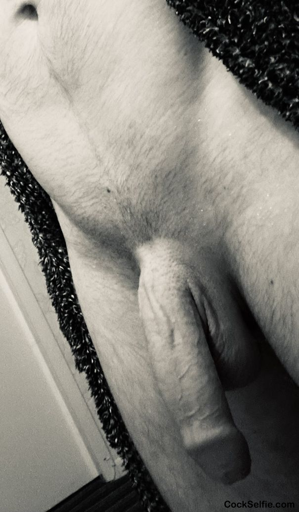  - Cock Selfie