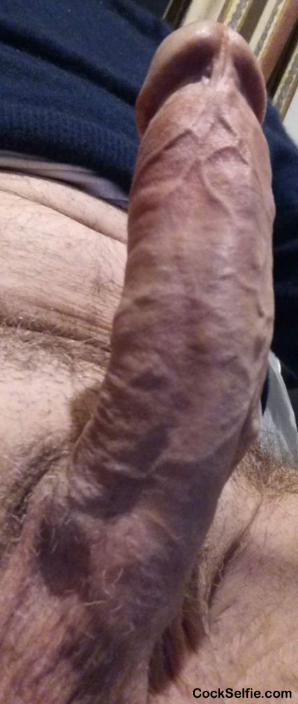 My hard cock - Cock Selfie