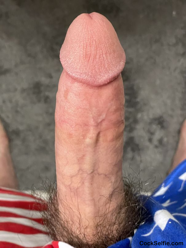 American Cock 4th of July Freedom Phallus Dick Pic Porn XXX - Cock Selfie