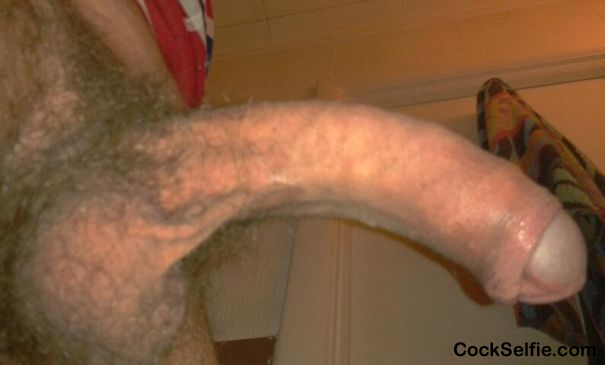 Would You suck this cock ?? - Cock Selfie