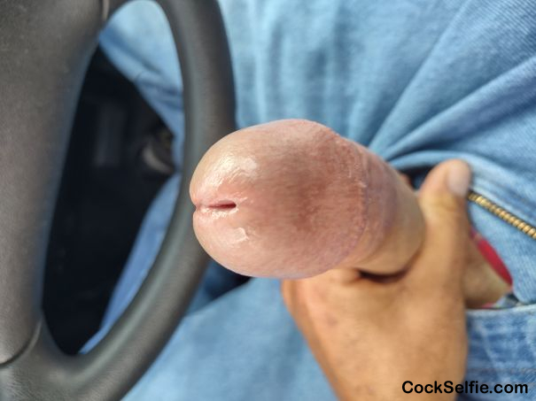 Long hard white dick - Cock Selfie