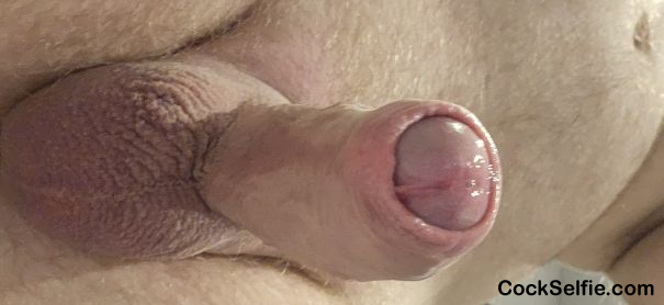  - Cock Selfie