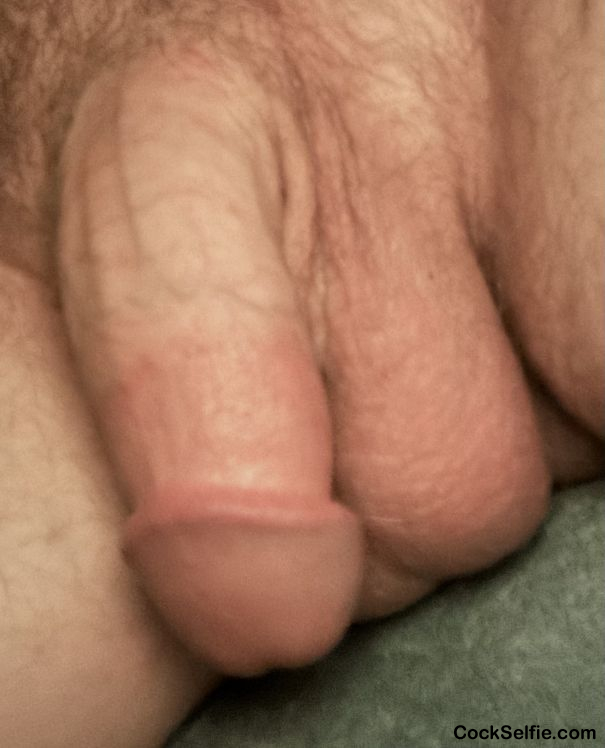  - Cock Selfie