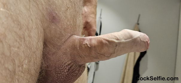  - Cock Selfie