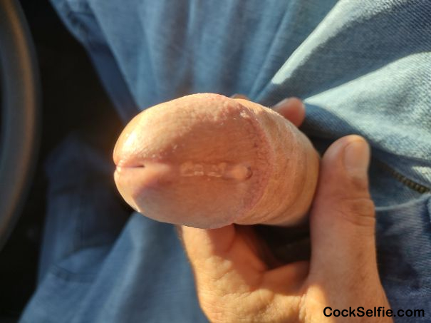 Long hard white dick - Cock Selfie