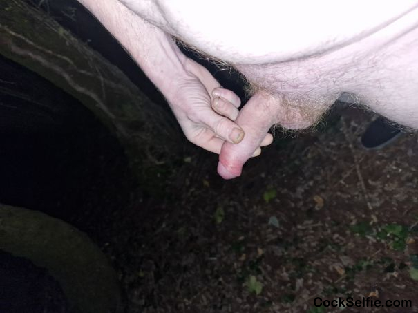 Woods Cock in Hand 2 - Cock Selfie