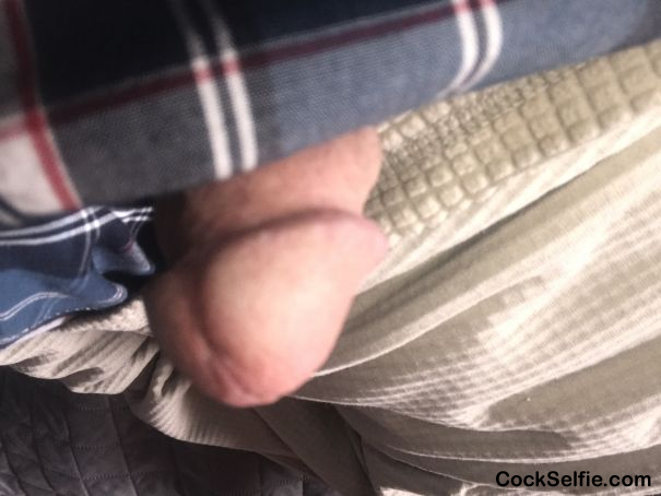 Peeking out looking for a mouth - Cock Selfie