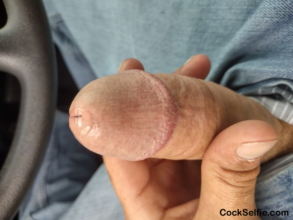 Long hard white dick - Cock Selfie