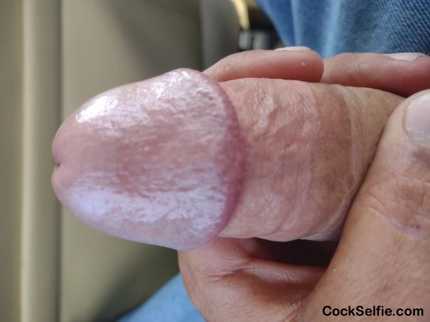 Long hard white dick - Cock Selfie