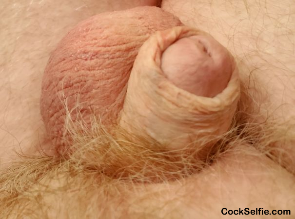 Friday and needs release - Cock Selfie