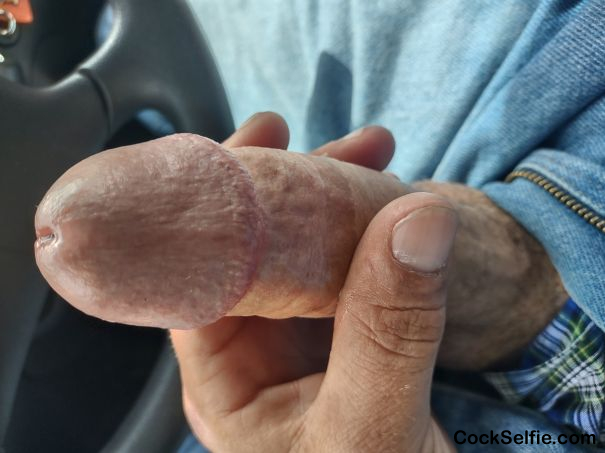 Long hard white dick - Cock Selfie