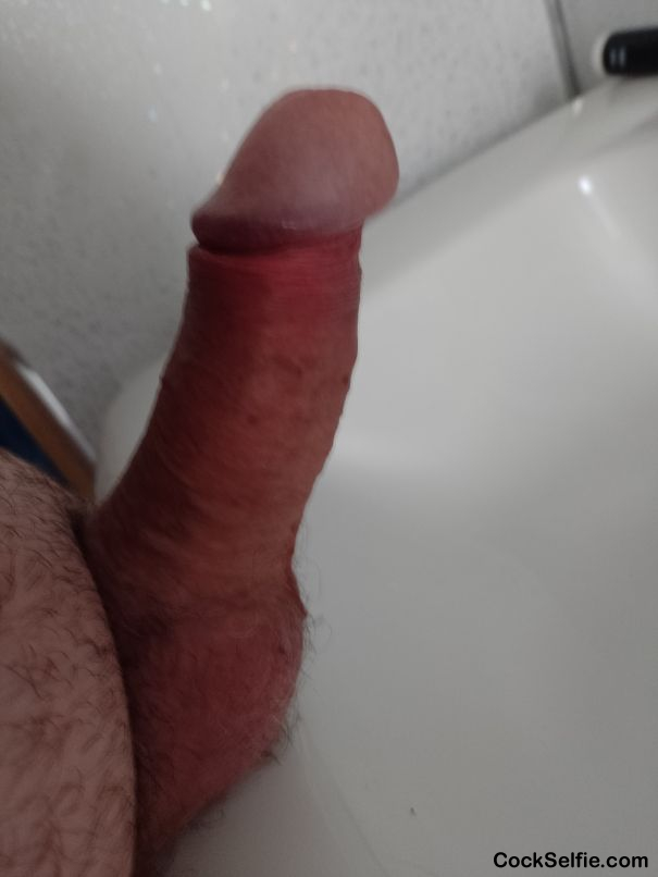 comment - Cock Selfie