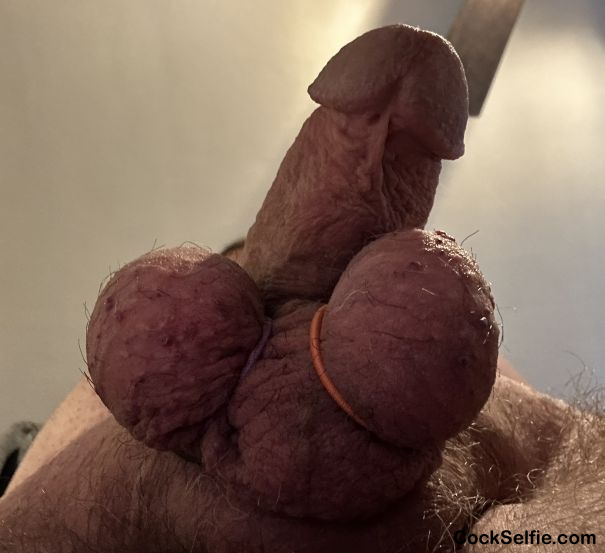 The balls - Cock Selfie