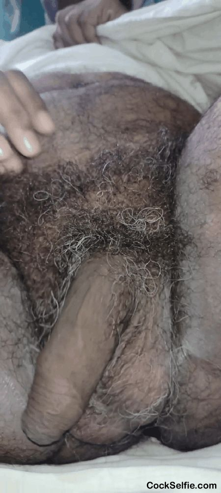 Wellcome in my pubis garden - Cock Selfie