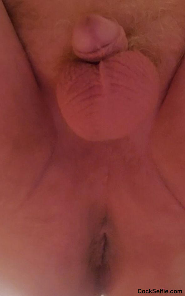 Full balls and opened ass - Cock Selfie