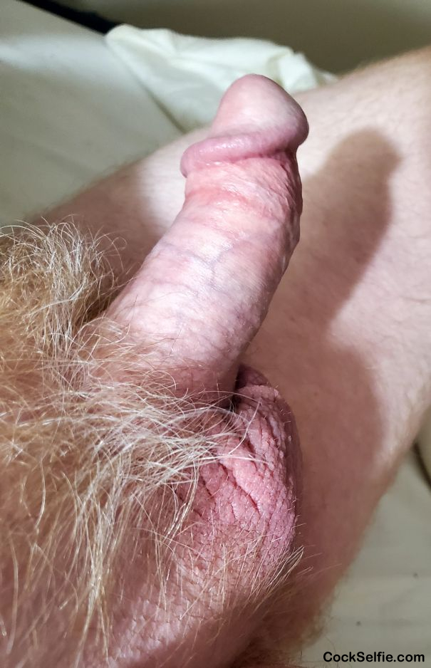 Rate it please.....1-10 - Cock Selfie