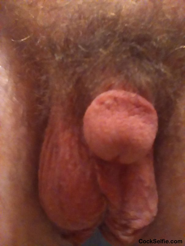 Soft - Cock Selfie