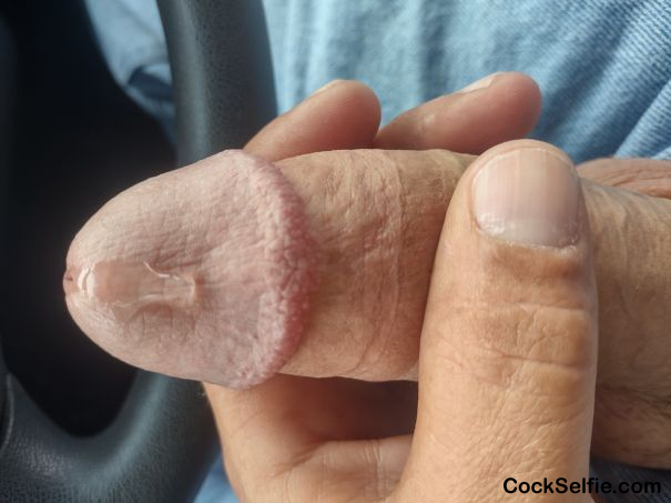 Long hard white dick - Cock Selfie