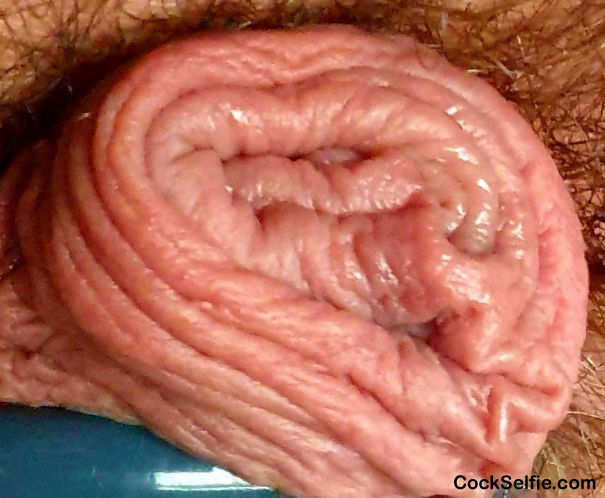 Adrian's wrinkly Foreskin - Cock Selfie