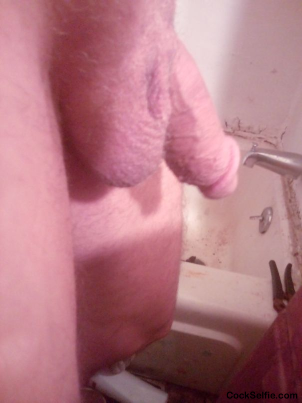  - Cock Selfie