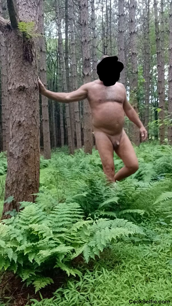 Walking in the woods naked with little peepee.... - Cock Selfie