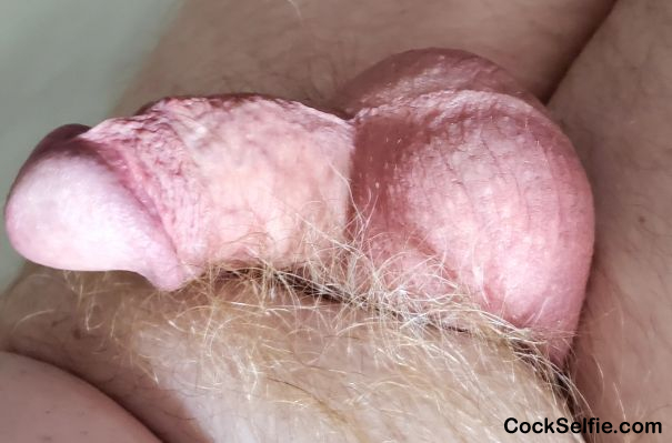 Limp and little - Cock Selfie