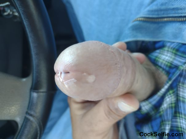 Long hard white dick - Cock Selfie