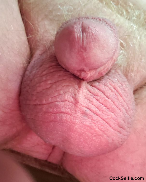 Last look....very full balls and little butt peak! - Cock Selfie