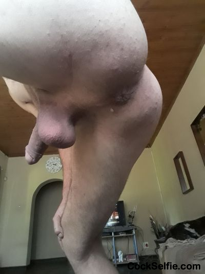 Who want me to sit on someone cock - Cock Selfie