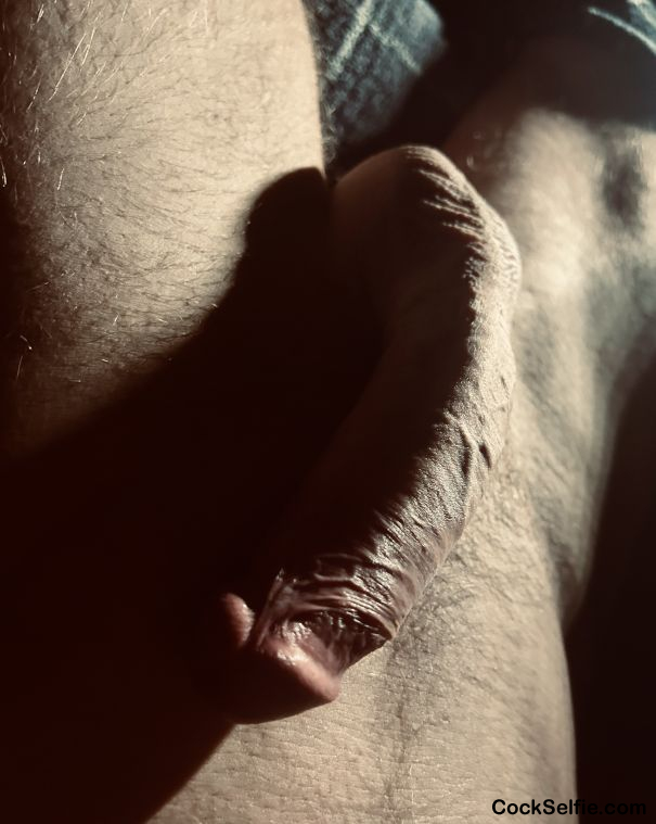  - Cock Selfie