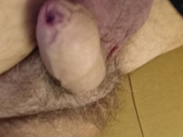  - Cock Selfie