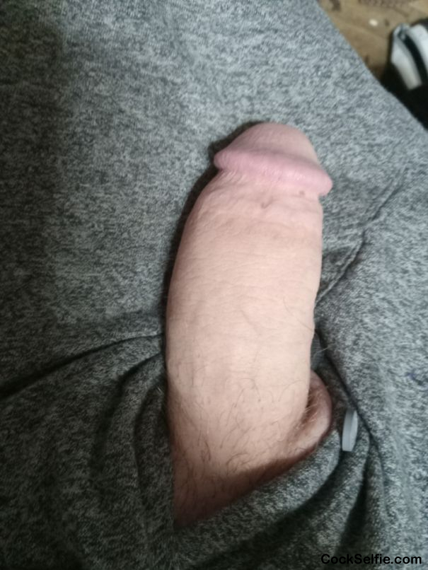 Good morning who wants to suck - Cock Selfie