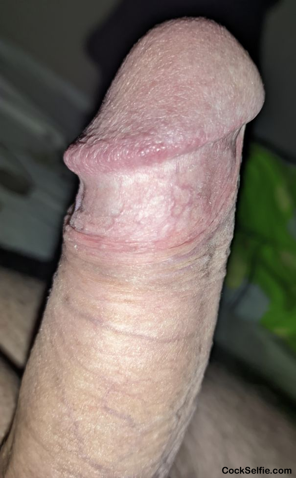  - Cock Selfie