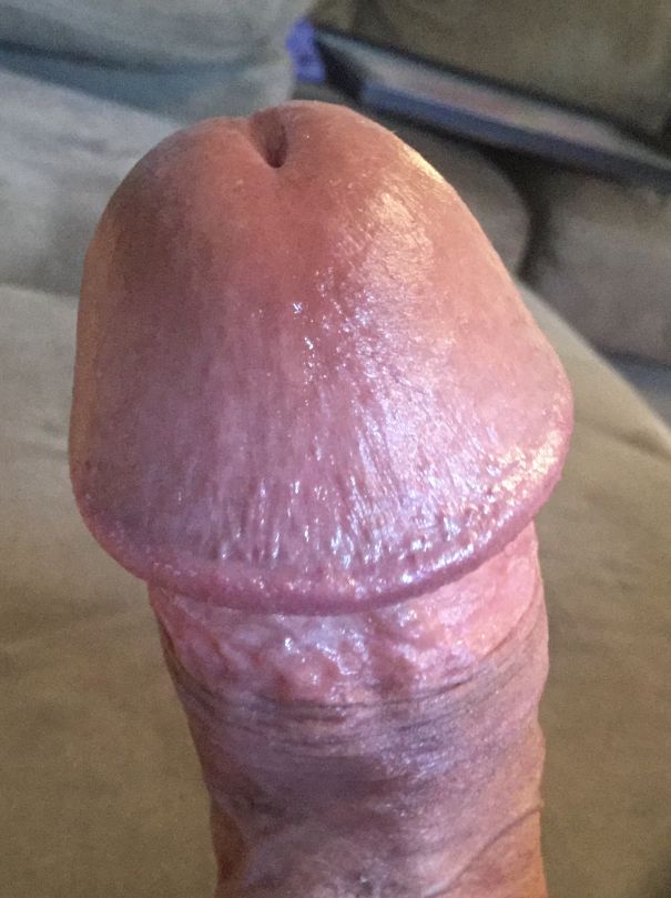  - Cock Selfie