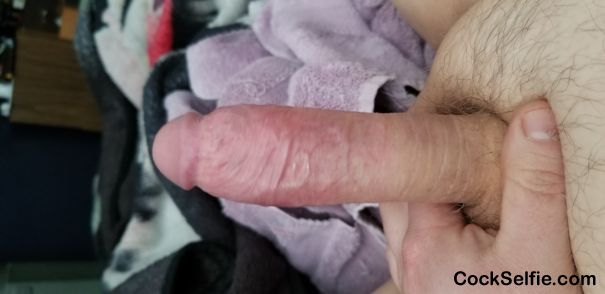  - Cock Selfie