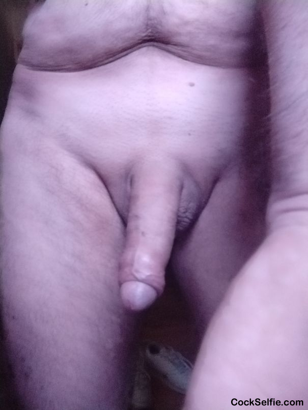  - Cock Selfie